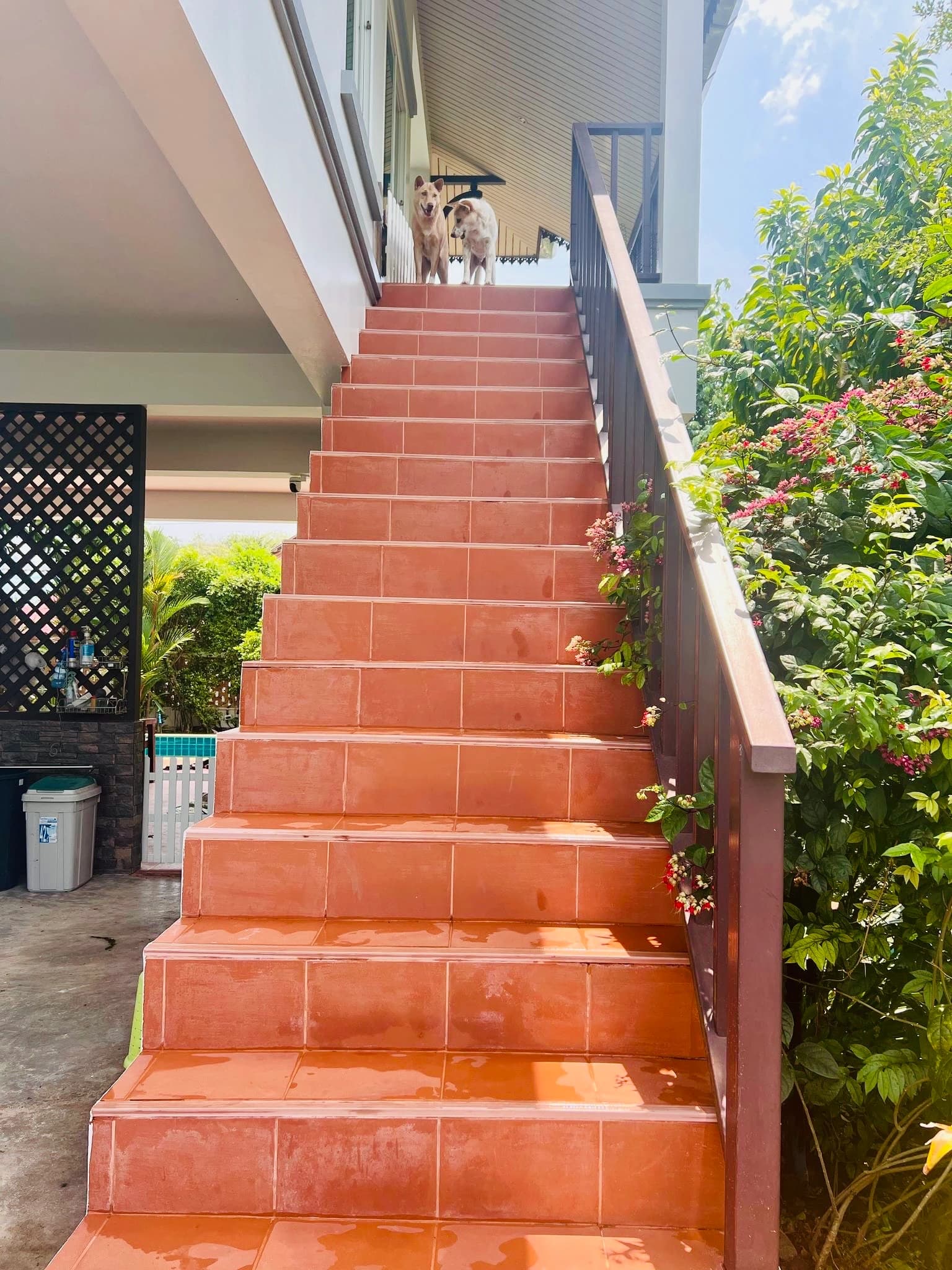 Stairs to Residence (possibility to install elevator)