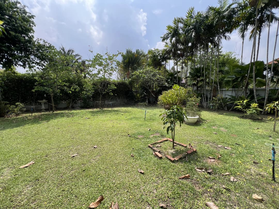 Grote tuin met veel bomen en planten