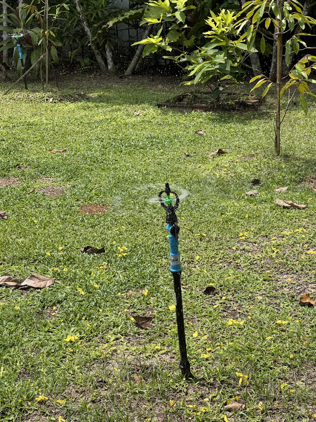 Grote tuin met sproei installatie