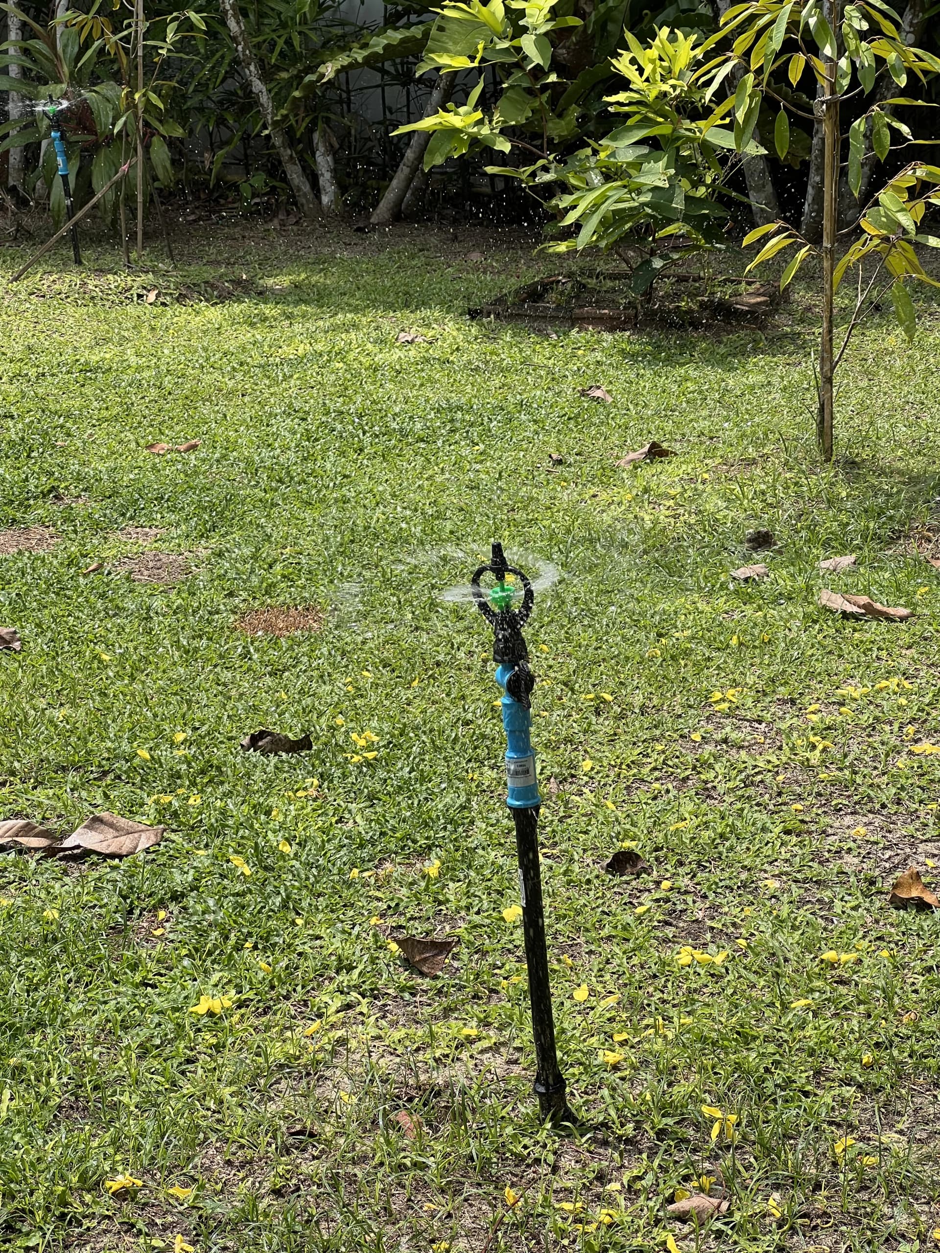 Large garden with sprinkler system